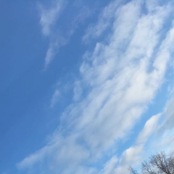 Meet your Posher, Skylar - Picture 1 of 1